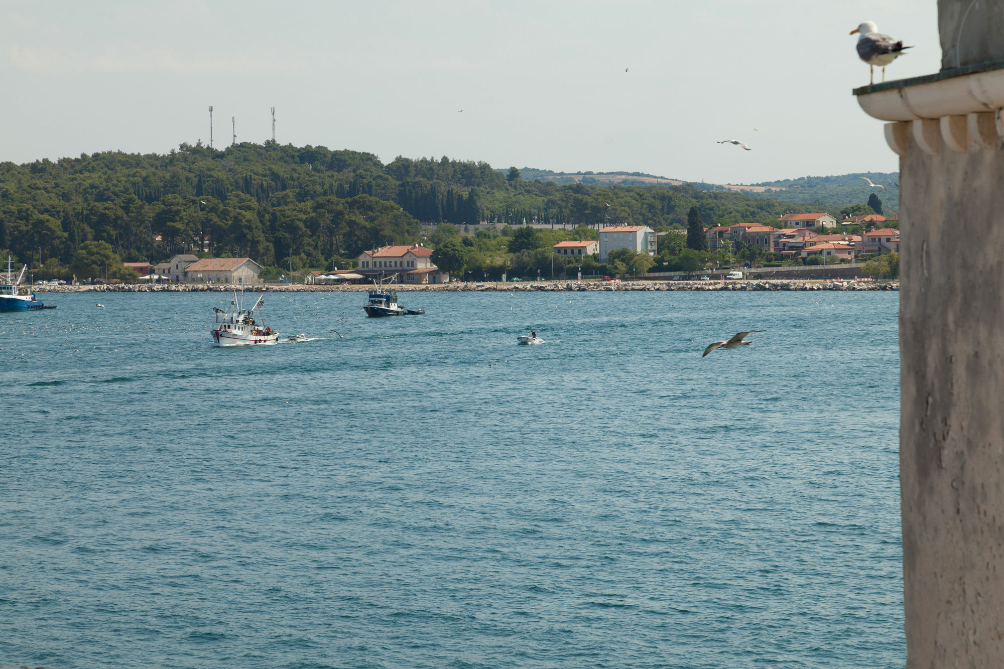 Angelo D'oro Hotel Rovinj